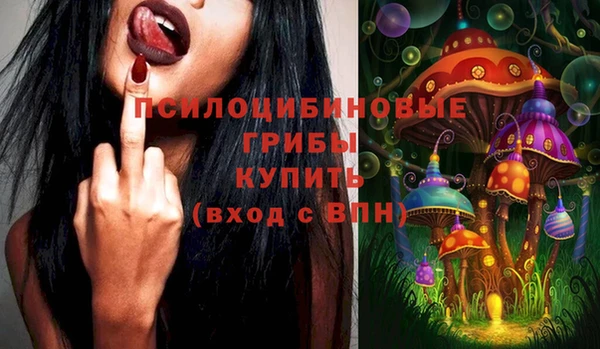 СК Алексеевка