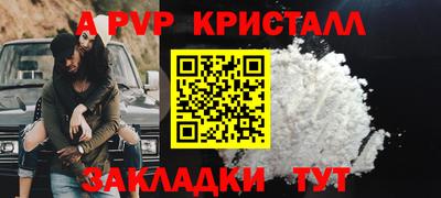 стаф Гусев