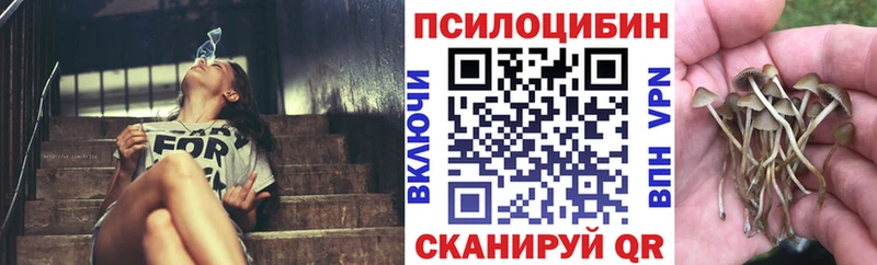 маркетплейс как зайти  как найти   Котлас  Галлюциногенные грибы мухоморы 