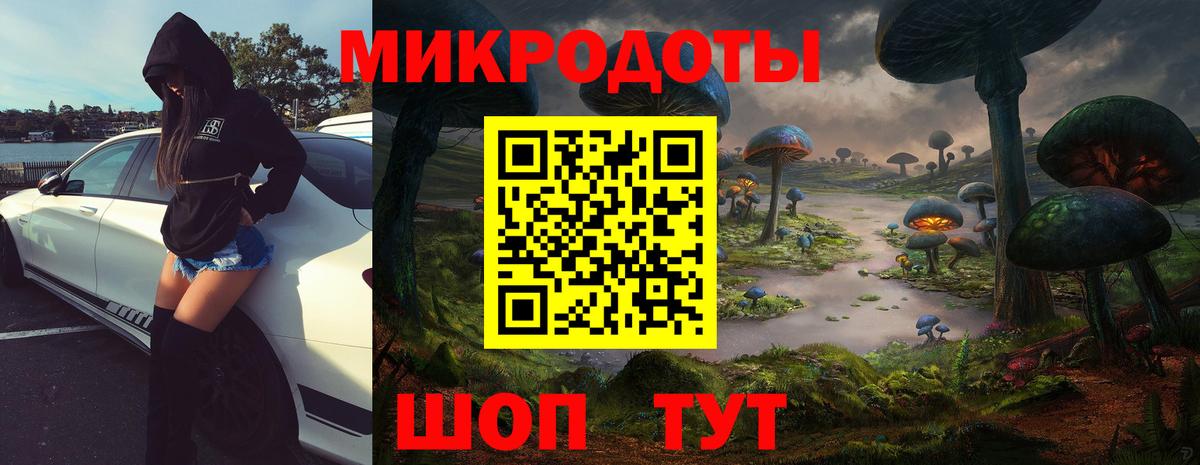 Псилоцибиновые грибы GOLDEN TEACHER Котлас