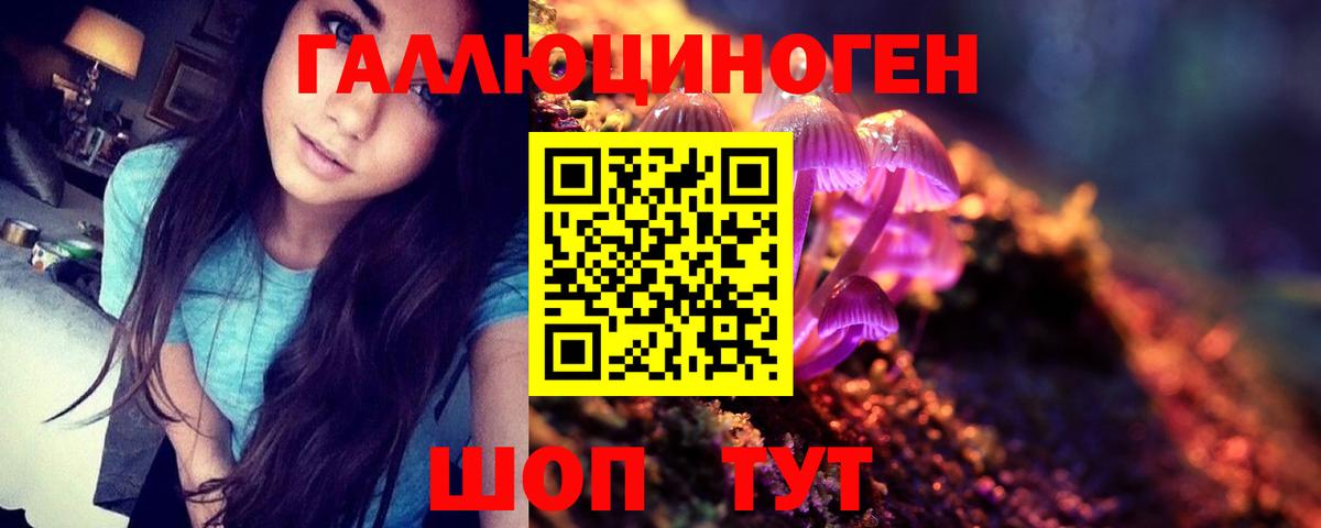 Псилоцибиновые грибы Psilocybine cubensis  Вход с VPN  Котлас 
